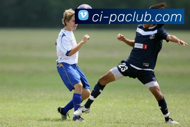 多媒体互动体验